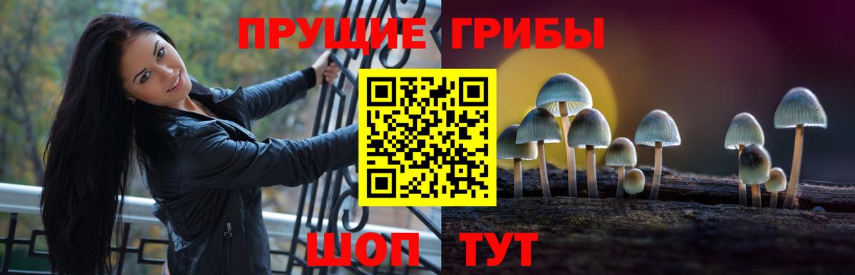 Псилоцибиновые грибы Magic Shrooms Наро-Фоминск